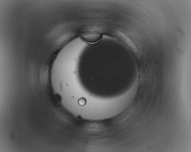 X0000116840163200912312101