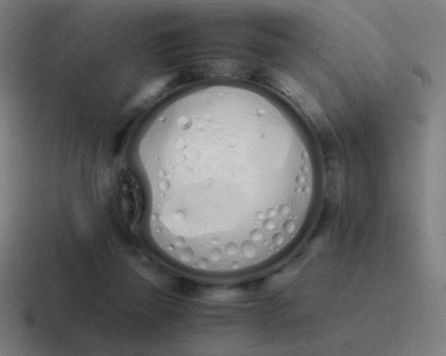 X0000116840165200912312101