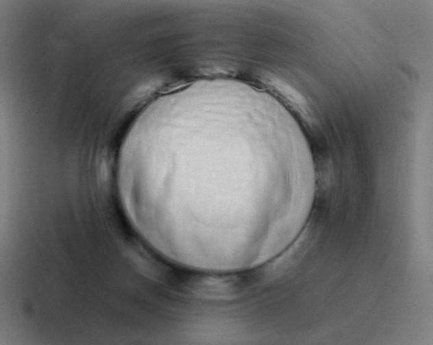 X0000116840166200912312101