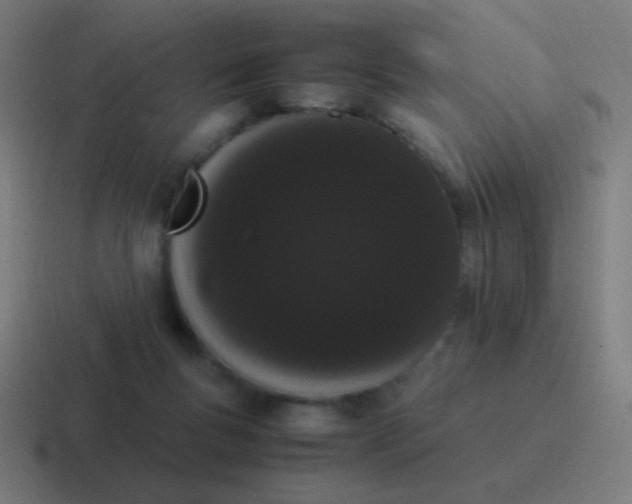 X0000116840167200912312101