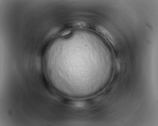 X0000116840169200912312101