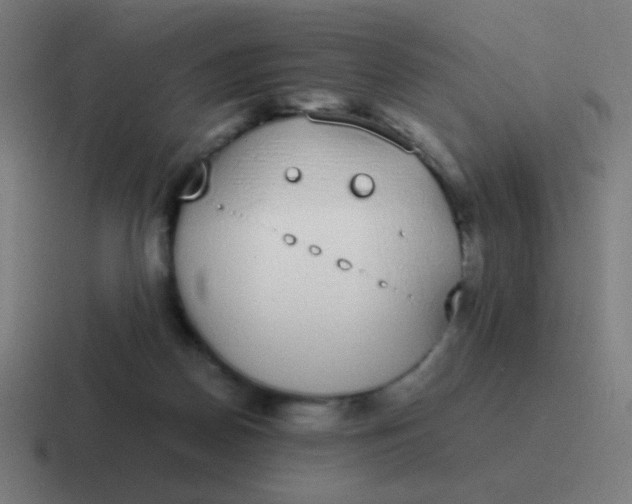 X0000116840170200912312102