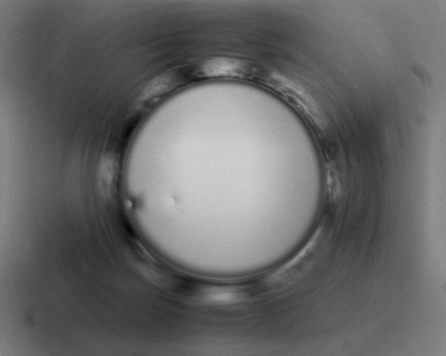 X0000116840171200912312102