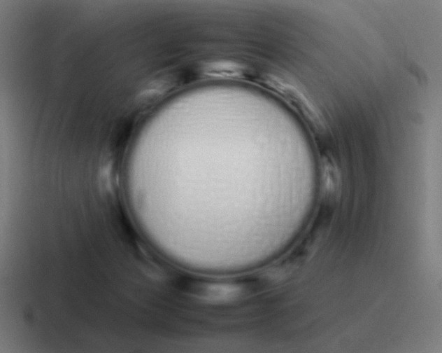 X0000116840173200912312102