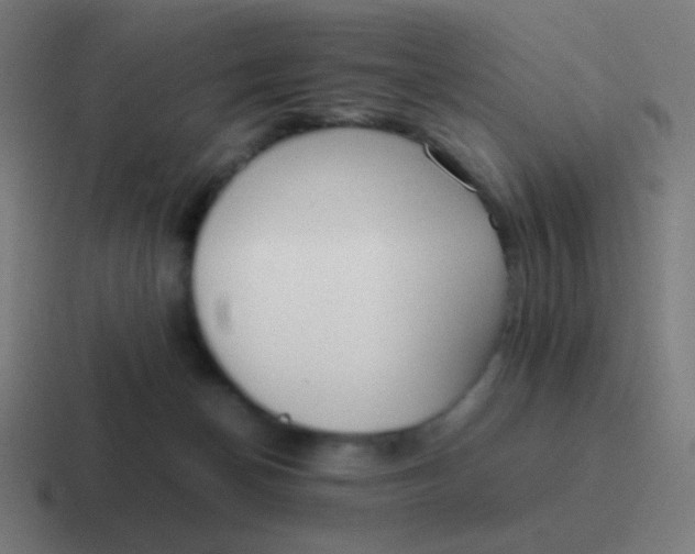 X0000116840174200912312102