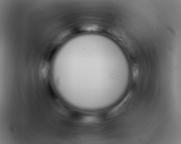 X0000116840175200912312102