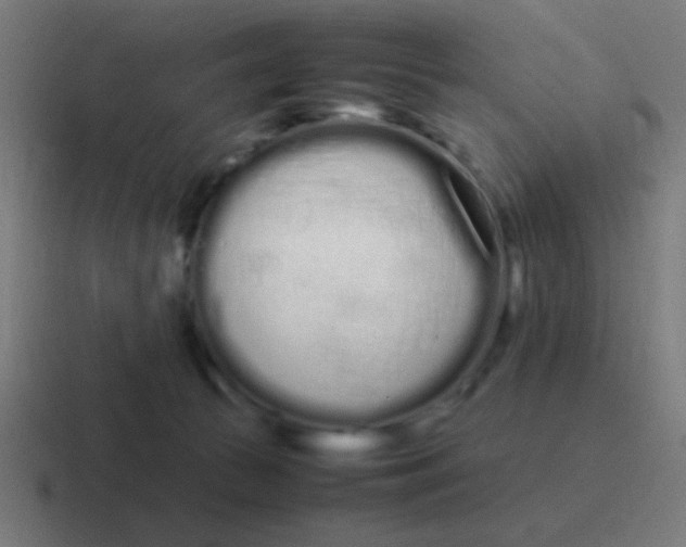 X0000116840177200912312102