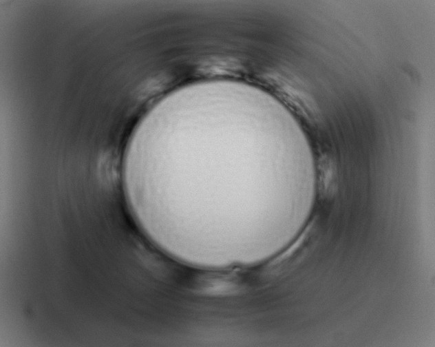 X0000116840179200912312102