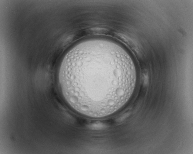 X0000116840181200912312102