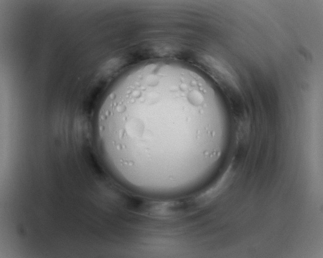 X0000116840182200912312102