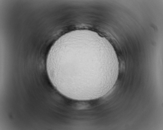 X0000116840183200912312102