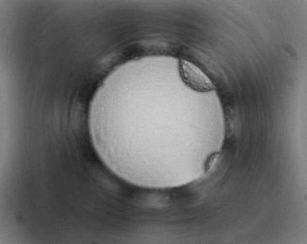 X0000116840187200912312102