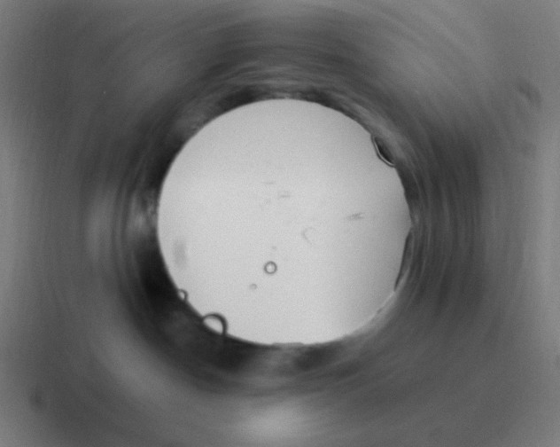 X0000116840190200912312102