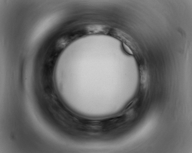 X0000116840191200912312102