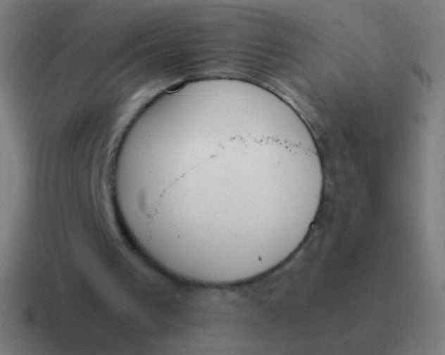 X0000116840193200912312101