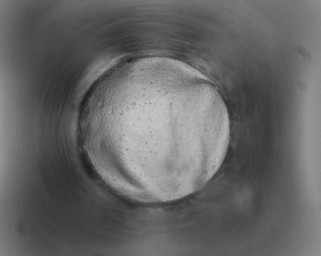 X0000116840194200912312101