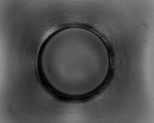 X0000116840196200912312101