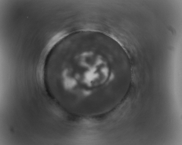 X0000116840199200912312101