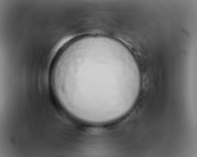 X0000116840200200912312101