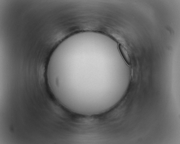 X0000116840201200912312101