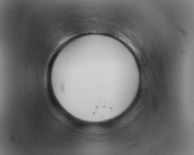 X0000116840203200912312101