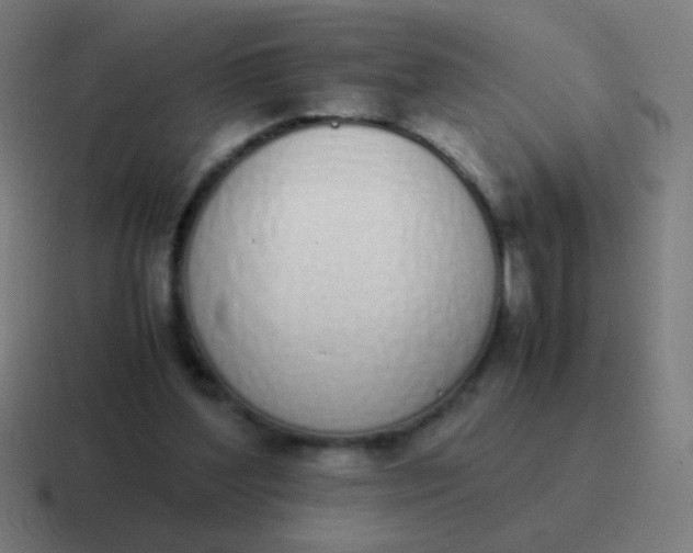 X0000116840204200912312101