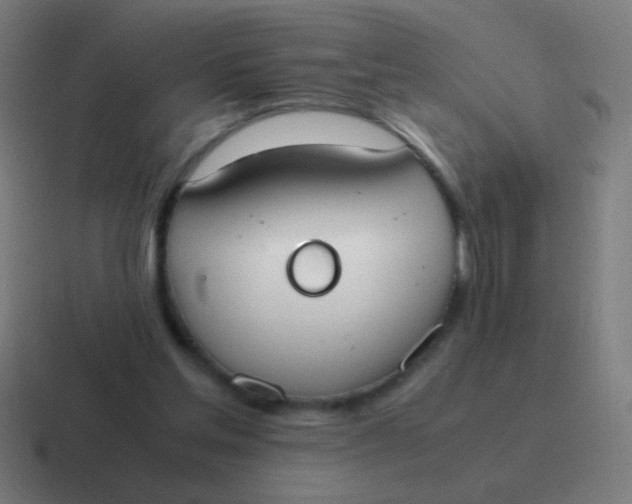 X0000116840205200912312101