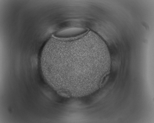 X0000116840207200912312101