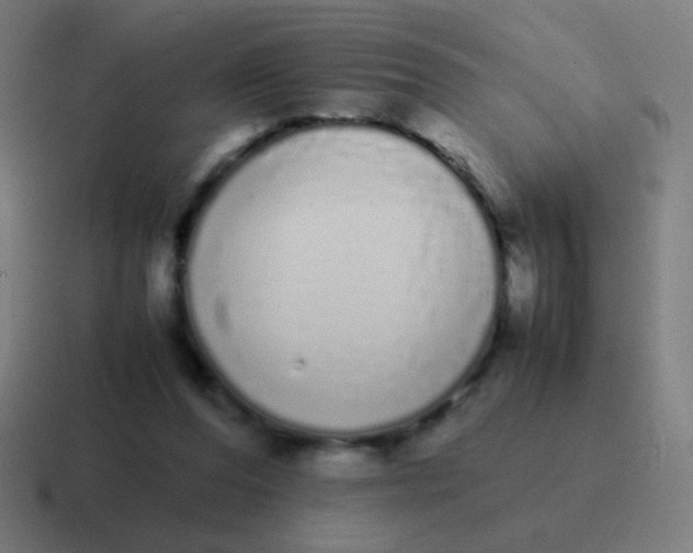 X0000116840208200912312101