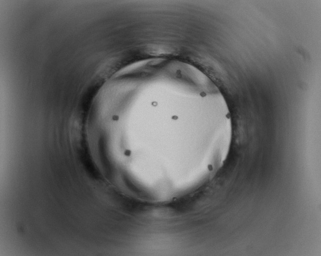 X0000116840210200912312101