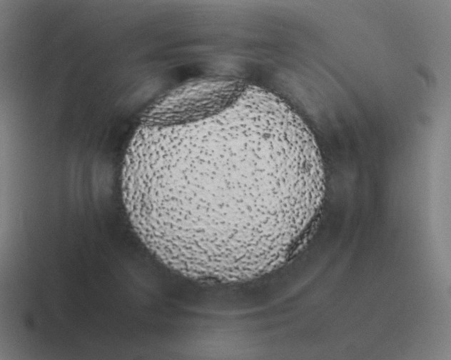 X0000116840211200912312101