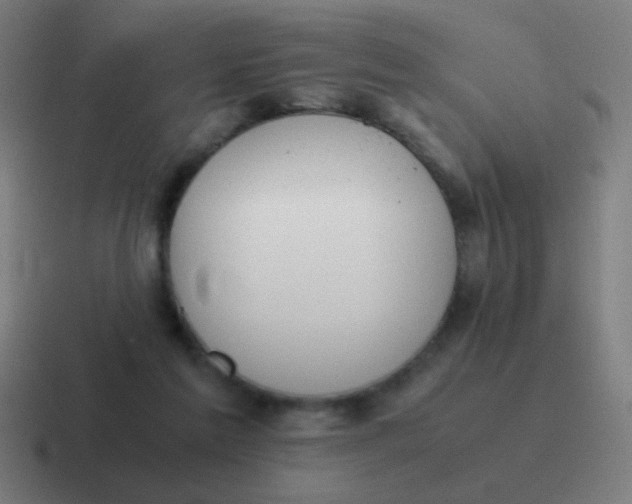 X0000116840213200912312101