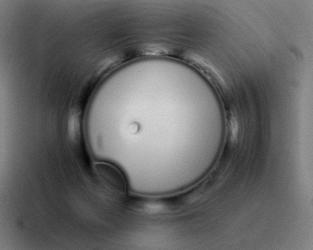 X0000116840214200912312101