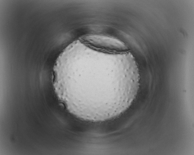 X0000116840215200912312101