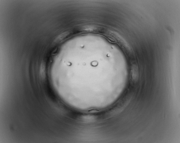 X0000116840216200912312101