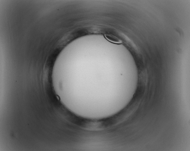 X0000116840217200912312101