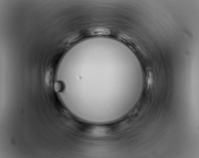 X0000116840218200912312101