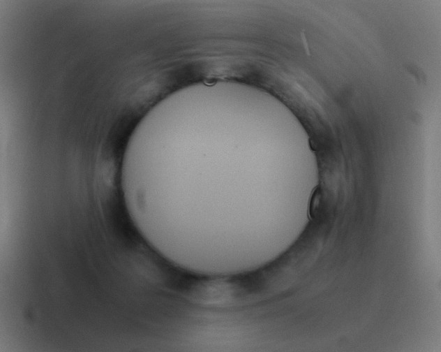 X0000116840219200912312101