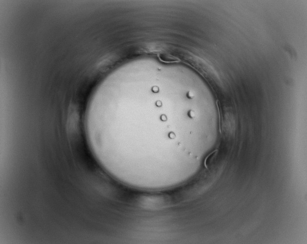 X0000116840220200912312101