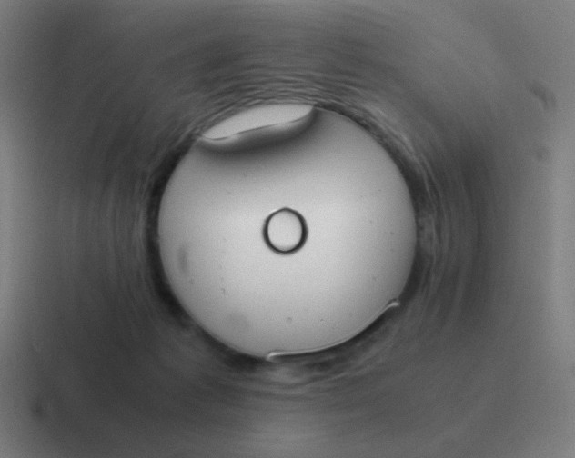 X0000116840221200912312101