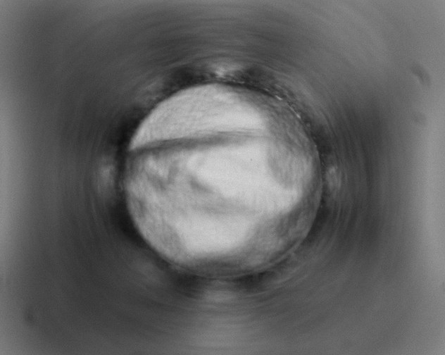 X0000116840222200912312101