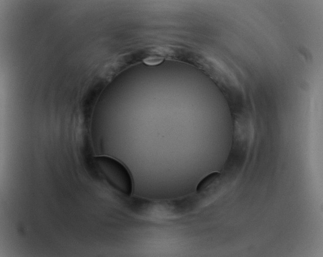 X0000116840223200912312101