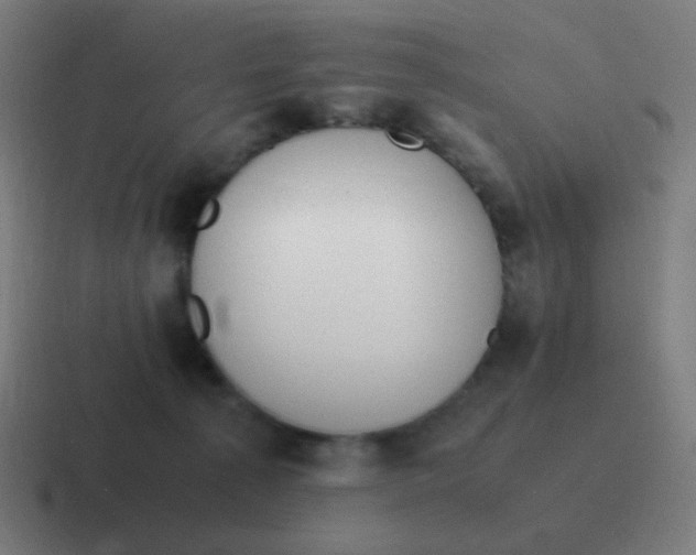 X0000116840225200912312101