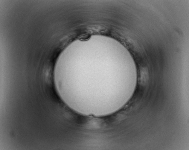 X0000116840226200912312101