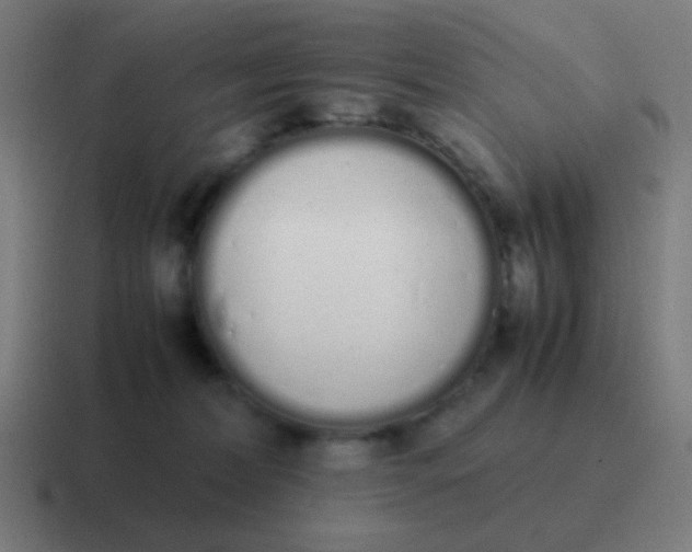 X0000116840228200912312101