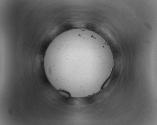 X0000116840229200912312101