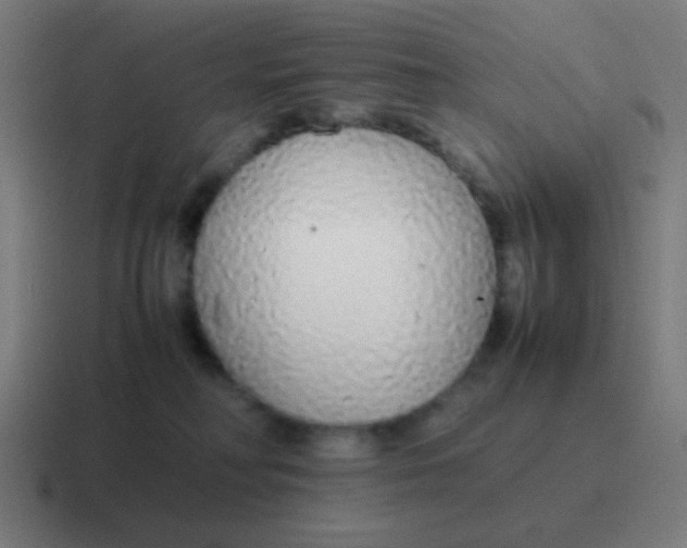 X0000116840230200912312101