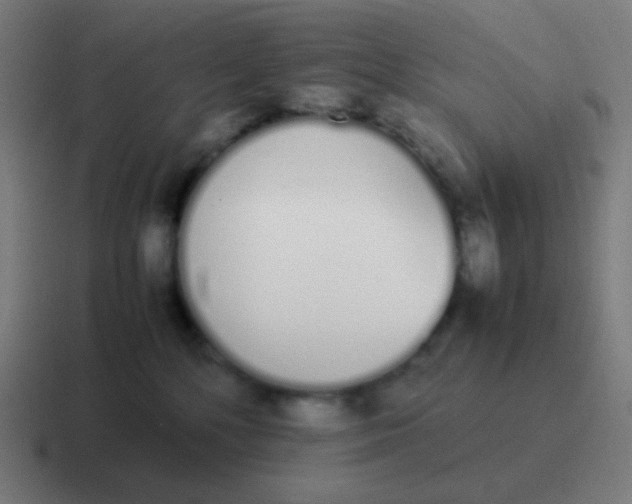 X0000116840232200912312101