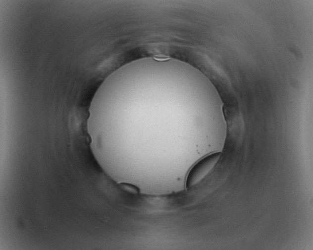 X0000116840233200912312101