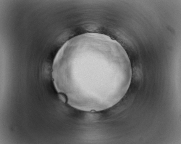 X0000116840234200912312101